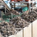 (주)석화 이미지