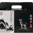 웰스리믹 이미지