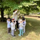 찬솔반이 찾아가는 붉은오름, 세번째 이야기 :) 🌳☘️🌈 이미지