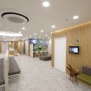 도원소아청소년과의원 이미지