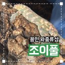 용인 파충류샵 ‘조이풀렙타일’