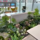 용평4길 이미지