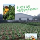 준서네 농장 이미지