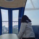 속초아이 대관람차 혼자 탄 후기 feat. 철거 / 야경 명소 포토존 추천 / 주차 소요시간 예매 가격 요금...