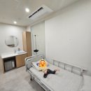 오체안피부과의원 | [공지] 22개월 아기 모기질종 수술 후기(오체안성형외과 대전점)