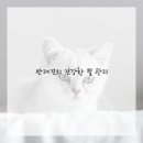 털보신집 이미지