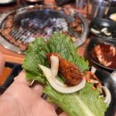 좋아좋아숯불갈비3호점 이미지