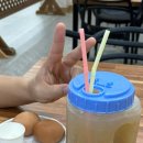 별자리농원 | 제주 서귀포 가볼만한 곳 산방산탄산온천 11월 방문 후기 : 가격, 할인, 수영복 대여, 준비물 및 이용 꿀팁