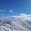 제101회 1월정기산행 (진안) 운장산 눈꽃산행 이미지