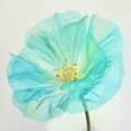 지솔블러썸 (Jisol blossom)