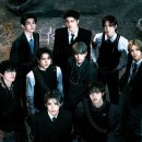 TEAM WILD WOLF 이미지