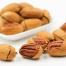 [행복대학]전문 플로리스트와 함께하는 힐링 가드닝 꿀팁 | 파주 신상카페 추천 10곳 방문 후기