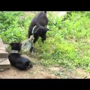 펜션YOON 이미지