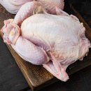 온마음푸드 이미지