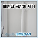 학익마을 | 일산 대화 아파트 베란다 곰팡이 제거 시공 방법 관리 업체 후기