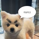 헬스보이짐앤필라걸 배곧점 이미지