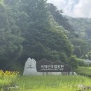원주 치악산 사다리병창길 후기 | 인생 최악의 산 만났습니다