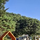 고복자연공원 갈대습지원 이미지