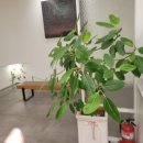 이튼튼구강악안면외과치과의원 이미지