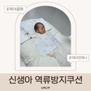 주식회사 제이앤아이 | 제이앤제나 역류방지쿠션 후기 신생아 수유 후 달라진 점