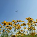 정*원 이미지