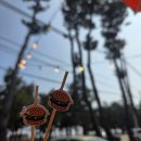 지에스(GS)25 사천휴게소점 | 강릉 사천해변 햄버거 모아나버거 다녀온 후기