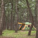 황산문화체육공원 국민여가캠핑장 | 가족과 함께 떠나기 좋은 캠핑장 TOP 5 🏕️