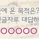 부산갈메기