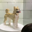 해리하다 이미지