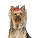 동물사랑동물병원 이미지