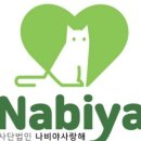 나비야(NABIYA) 이미지