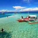 뱅크트리 이미지