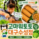 고마워토토대구 | 대구 실내체험 아이랑 가볼만한 곳 '고마워토토 대구수성점'｜5세 솔직이용후기