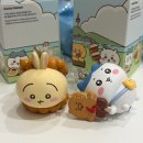 소라캣 | °⋆.*ꕤ₊ 3월의 덕질 일상_1 ₊ꕤ*.⋆°