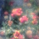 오로라살롱 이미지