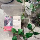 명함여행 | 나만의 명함 QR코드 만들기 네이버 여행 인플루언서 명함 제작 후기