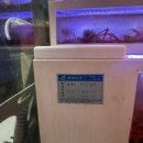 대구 달서구 수율 좋은 홍게 청년대게 성서점