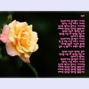곡성-085 티스토리