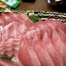 방어회, 활어회, 연어회, 도다리회까지 먹은 한 주 / 강남 신논현 대방어 맛집 자매수산 강남본점 후기