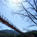 2019.4.8.파주 식빵연구소 문발점~마장호수~국립 아세안 자연휴양림. 이미지
