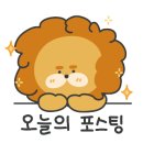 김프로바이크 이미지
