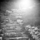 Stairway To Heaven. 이미지