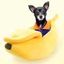 둥지아트하우스 이미지