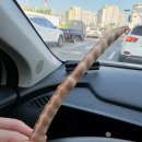 텃밭90.8월6일 동부콩수확시작 이미지
