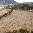 다래농장 이미지