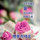 🥳 아메리카 갓 탤런트 놀라운 부르스 이미지