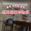 홍대비대칭관리 아프지않은 꼼꼼한케어 신지윤피부관리