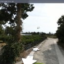 삼덕교차로(태흥3리) 4 이미지