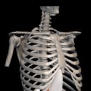 생생척척의원 이미지