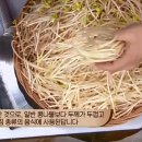 백종원 콩나물찜 만들기 이미지